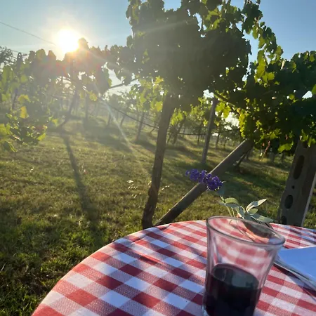 La Dolce Imola-bilocale In Centro Storico