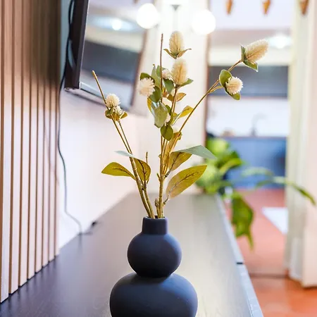 Apartmán La Dolce Imola-bilocale In Centro Storico Imola