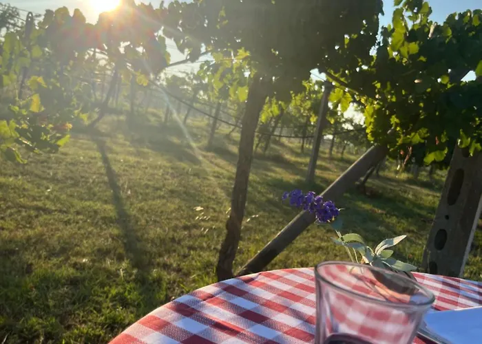 La Dolce Imola-bilocale In Centro Storico