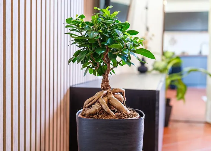 La Dolce Imola-bilocale In Centro Storico